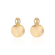 Qlady brushed metal earrings for women 2024 new earrings feminine high-end retro gold earrings birthday gift