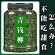 
Green-money willow tea tea plant: Jiangxi Xiushuiqingqing-money willow original origin of the original leaf. The giant panda green-money willow in the plant world. The ancient tree tender leaves green-money willow 250g1 can