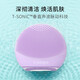 斐珞尔（FOREO）露娜洁面仪 LUNA 4go妙趣版声波脉动电动洗脸仪波纹按摩洗脸神器送老婆 缈缈烟紫