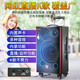 MALONE Outdoor Heavy Bass Internet Celebrity Live Broadcast Karaoke Mobile Trolley Square Dance Speaker High Power Portable Wireless Bluetooth Speaker M-150 15-inch Lead-Acid Battery + 2 Microphones + Gift