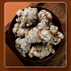 Banshan Nong Panax notoginseng 20 heads Tian Qitou Chinese medicinal materials Yunnan Wenshan Panax notoginseng grindable Panax notoginseng powder nutritional supplement 250g practical gift for parents, elders and the elderly