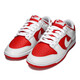 耐克（NIKE）官方男鞋 冬季新款运动鞋Dunk Low Retro复古时尚低帮轻便休闲鞋 DD1391-600/ 41