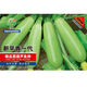 Zucchini seeds, high-yielding vegetable seeds, easy to grow in all seasons, family balcony potted vegetable seeds, cold-resistant and disease-resistant, heat-resistant and high-yielding zucchini seeds, 23 seeds or so, germination rate 95.4323%