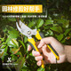 Deli fruit tree scissors, pruning scissors, garden flower scissors, gardening flowers and trees, branch pruning, thick branch pruning shears, labor-saving scissors, 8-inch stainless steel blade, can cut 15mm wet branches, pruning shears