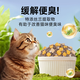 Wilson's Greedy Whole-term Cat Special Cat Food Domestic Cat Cat Food Chicken Flavor Fattening Nutritional Affordable Cat Food Affordable Repurchase Pack Fish Flavor Cat Food 20Jin Jin is equal to 0.5kg