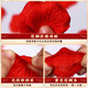 Yidu Xishi simulated rose petals decoration wedding room layout set confession of love on the bed fake flowers proposal romantic wedding supplies simulated big red rose petals 1000 pieces