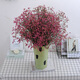AIMAN Yunnan forget-me-not dried flowers real flower bouquet air-dried natural living room decoration decoration large bouquet of flowers and stars SN6981 forget-me-not rose red extra large bouquet 2Jin Jin equals 0.5 kg