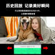 网络眼4g免费流量太阳能摄像头室外无电无网农村户外手机远程高清无线监控器家用360度无死角带夜视全景 【太阳能4G版】免流量无需充值+64G卡