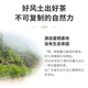 顶青湖 古树单株凤凰单枞茶特级高山潮州乌岽单丛礼盒装500g