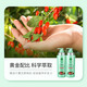 蜂花洗发水本草植萃精华轻盈舒爽去油保湿洗发露丝滑易梳理蜂花 本草润泽丝滑洗发露 500ml*1瓶