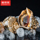 Fresh Jingcai fresh conch, net weight 2Jin Jin is equal to 0.5kg, 5-7 pieces/Jin Jin is equal to 0.5kg, fresh to your home, fresh seafood, straight from the source
