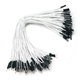 Throwing stones 1P rehearsal DuPont wire 26AWG silicone insulated wire High temperature resistant electronic wire Experimental supplies 100 wires in a bundle 20cm wire length 100 wires/item White 20cm female to female