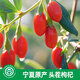
Bingtian chrysanthemum honeysuckle wolfberry tea 120g chrysanthemum can be used as a large golden silk emperor chrysanthemum cassia tea