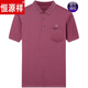 恒源祥品牌高档短袖T恤男夏季新品男士polo保罗衫中青年纯棉半袖翻领t恤 9905红色XH M 165建议120斤以下