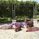 Large outdoor garden landscape simulation hippopotamus fiberglass pond animal sculpture garden decoration lawn ornaments C style Dingjin