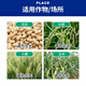 Brassinolide high fast-acting brassinolide plant growth regulator auxin water-soluble foliar fertilizer 500g