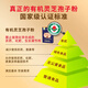 Peking Tongrentang Red Zhisheng Huoshan Break Wall Ganoderma lucidum sporepulver für Erwachsene und ältere und ältere tony-tony schlechte körperliche Fitness und verbessert die Gesundheitsprodukte immunität fünf Kisten Ganoderma lucidum spore powder 50g