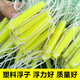 Imported three-layer sinking net fishing net with thick green silk sticky hanging mesh weighted fishing net crucian carp big silver carp carp net three-layer 1.5 meters high 3 fingers 40 meters weighted sinking net