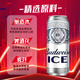 Budweiser Ice Beer 500ml*18 cans in a box 99% positive OCC