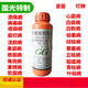 Guoguang Xinxibin Acetate Rot Fruit Rust Strawberry Virus Disease Canker Fusarium Wilt Root Rot Fungicide 1000ml