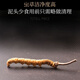 Yifanmai authentisch cordyceps cordyceps cordyceps cordycep