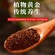 Органическая ганодерма Lucidum Spore Powder Toudao Changbaishan Organoderma lucidum Spore Powder 250G Новое специальное предложение 50 г маленького пакета