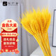 Nine thousand grains of wheat ears dried flowers and barley simulated bouquets for home living room pastoral decoration fake flower props gold 200 pieces 4404