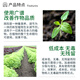 Guoguang Yuyang 1.4% sodium nitrophenolate flower, vegetable, seedling, fruit tree rooting antidote for pesticides and plant regulator 25ml