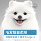 Okaman Pomeranian special dog food, puppy and adult dog food, general small dog white, natural 10 Jin Jin equal to 0.5 kg, Pomeranian special food 10 Jin Jin equal to 0.5 kg, packed