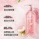 Siyu (Syoss) Shampoo, Taoqin Yingrun, Schadensbummel Shampoo 420 ml, weißer Pfirsichduft, erfrischend, silikonfreies Shampoo