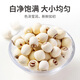 Fangjia Puzi, a time-honored Chinese brand, six-star lotus seeds, Xiangtan peeled white lotus seeds 250g/can, cored lily tremella soup
