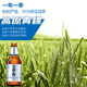 Qinghai Lake Beer Wort 11% Plateau Barley Beer Wheat White Beer 500ml*12 Full Box Beer