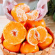 Jingdida Sichuan Chunjian Rake Mandarin Orange Baba Mandarin Net weight 9Jin Jin is equal to 0.5kg Large fruit 80-85mm fresh orange fruit straight from the source