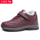 Red Dragonfly Red Dragonfly winter plus velvet warm old people's shoes thick wool large cotton boots middle-aged and elderly women's cotton shoes C0TTN01081