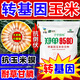 Strong man Zheng Dan 958D genetically modified corn seed collection, short stem, lodging resistance, disease resistance, hard horse tooth stick standard, genetically modified, about 3 Jin Jin is equal to 0.5 kilograms