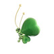 QUAMER gold store new cat's eye stone four-leaf clover high-end brooch women's anti-exposure buckle niche cute Japanese style