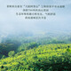 煌政漳平水仙茶 2025新春茶 高山乌龙茶 茗茶 清新浓香型 手工方块茶 PVC盒装250g【清香型】 好评收货下单可送精美礼盒