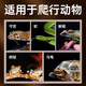Shangyang bark mat reptile pet reptile breeding box tree cave landscaping land turtle lizard spider gecko thermal insulation and moisturizing
