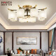 Handis new Chinese style copper living room chandelier copper Chinese style modern light luxury restaurant bedroom study semi-suction hanging dual-purpose lamp FR0862-4+1 head