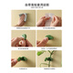 Green garden craftsman green dill climbing wall fixed artifact green plant vine man plant nail-free wall-mounted self-adhesive hook climbing clip 24 pieces