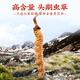Tongfu cordyceps Sinensis 2 корни/G 1G упаковка. Первый период новых Cordyceps Sinensis Высококачественные сухие товары без перерыва.