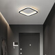 Weihuo long aisle corridor light entrance balcony light led ceiling light modern simple Nordic bedroom light minimalist 2021 black/rounded corner 30*15CM-15W white light