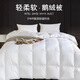 高档家纺床品白鹅绒羽绒被芯冬季加厚保暖羽毛被子家用宿舍双人被 鹅绒被/白色 150*200cm【6斤】
