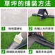 Kaosen Green Carpet Outdoor Terrace Simulated Lawn Roof Sunscreen Insulation Artificial False Turf Enclosure Project Toddler 2cm Spring Grass Thickened Extra Dense Black Bottom