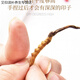 Yifanmai authentisch cordyceps cordyceps cordyceps cordycep