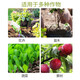 Guoguang Heduo contains amino acid water-soluble fertilizer for flower seedlings, green plants, vegetables and fruit trees to promote root growth and strengthen foliage. Water-soluble fertilizer
