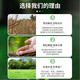 Linzhongwang 5% cyclozinone herbicide removes large shrub root rot agent, dead root agent, miscellaneous irrigation medicine, large pesticide pesticide copper cyclozinone