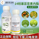 14--Hydroxybrassinolide brassinolide antidotes damage to flowers, fruits and vegetables, flower-preserving and fruit-preserving plant growth regulator 100ml*1 bottle