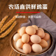 Hsu Fuji Shaqima Crispy Egg Flavor 768g/bag of pastries, nutritious breakfast snacks, afternoon tea snacks