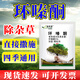 Land reclamation, cyclizinone to remove weeds, bamboo and shrubs, cyclizinone, bronze granular weed herbicide 500g*2 bags